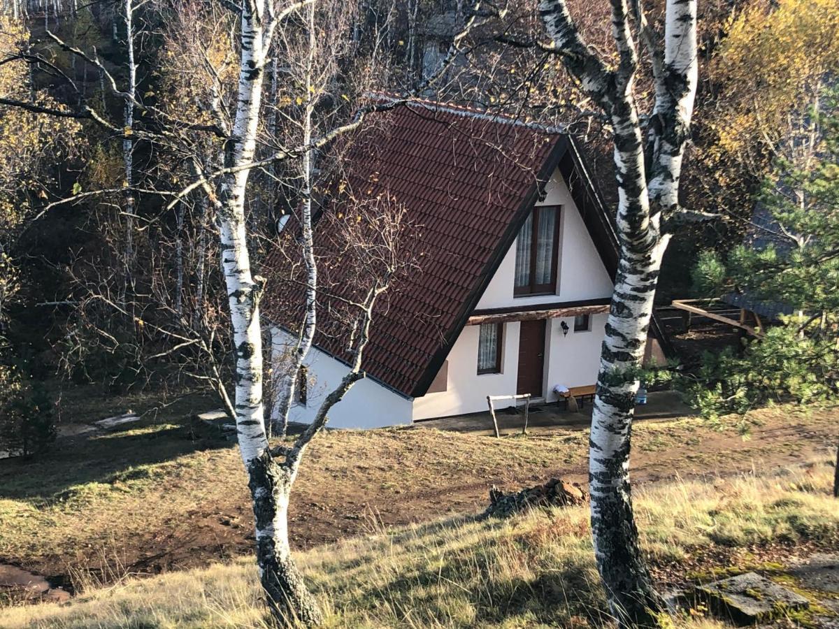 Vikendica Stojanovic Villa Mionica Esterno foto